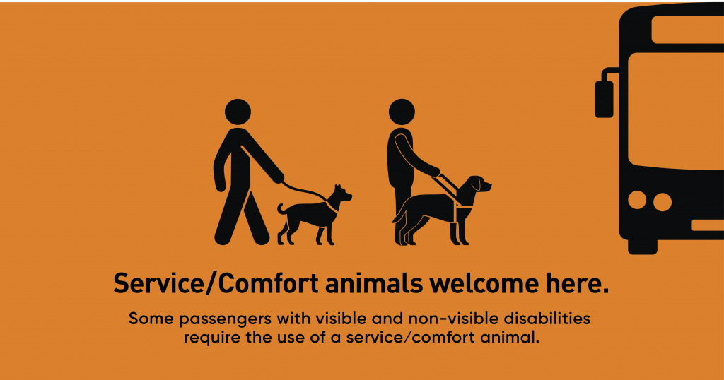This poster depicts a bus at a stop with a service dog in a harness and comfort dog on a leash waiting to board the bus.